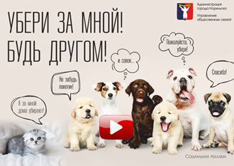 Городская социальная реклама. Содержание домашних животных