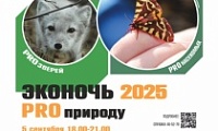 ЭкоНочь-2025