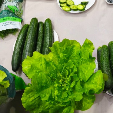 Норильские производители успешно представили город на краевой выставке «День урожая – 2025»