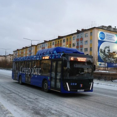 По дороге в будущее