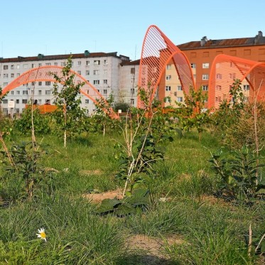 В Норильске продолжается работа по озеленению общественных территорий