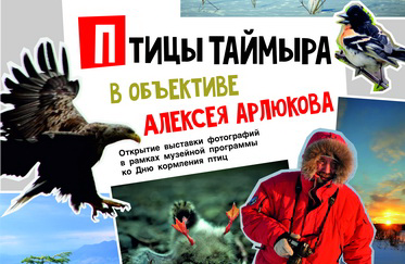 День кормления птиц в Музее Норильска