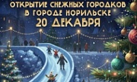 Открытие Снежных городков