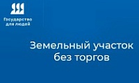 Услуга в электронном виде. Как получить земельный участок без проведения торгов
